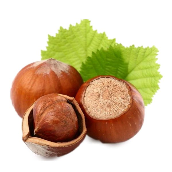 Hazelnut – Orgaweek